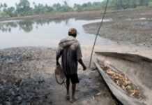 Nigeria: Niger Delta stability key to economic success Nigeria: Niger Delta stability key to economic success