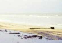 The Deepwater Horizon Spill and its aftermath The Deepwater Horizon Spill and its aftermath