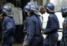Zimbabwe: Zanu Pf agents in uniformed forces get double salaries Zimbabwe: Zanu Pf agents in uniformed forces get double salaries