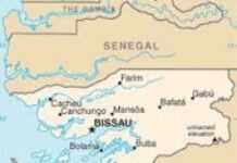 Guinea-Bissau: EU and U.S. lose war against crime?