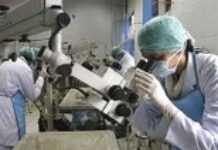 Medically assisted procreation on the rise Medically assisted procreation on the rise