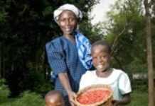 African women farmers, an untapped goldmine African women farmers, an untapped goldmine
