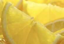 Lemon: A true elixir of health Lemon: A true elixir of health