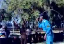 Sudan: Authorities embarrased by woman’s brutal public whipping Sudan: Authorities embarrased by woman’s brutal public whipping