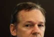 Wikileaks Founder: Revolutionist or Rebel? Wikileaks Founder: Revolutionist or Rebel?