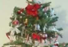 Christmas jingle bells ring loud in Islamic North Africa Christmas jingle bells ring loud in Islamic North Africa