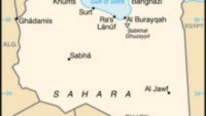 arton19031 arton19031