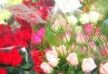 Ethiopia: A new law for horticulture producing and exporting enterprises Ethiopia: A new law for horticulture producing and exporting enterprises
