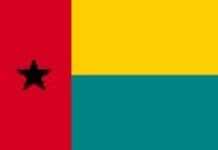 Struggling for Democracy in Guinea-Bissau: Drug Trafficking, Military and Politics