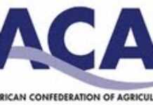 FELIX ELIA JUMBE – SACAU PRESIDENT ELECTED VICE PRESIDENT OF PAFO FELIX ELIA JUMBE – SACAU PRESIDENT ELECTED VICE PRESIDENT OF PAFO