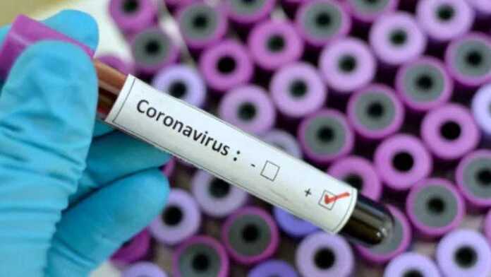 covid19-coronavirus-696x367 covid19-coronavirus-696x367