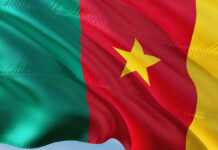 Flag of Cameroon