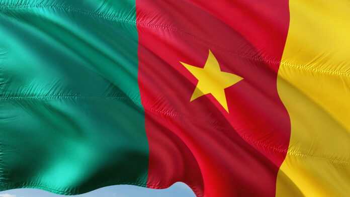 Flag of Cameroon