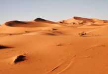 U.S. Welcomes Western Sahara Talks Western Sahara