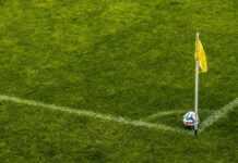 La Côte d’Ivoire accueille la 34e Coupe d’Afrique des Nations Terrain de football