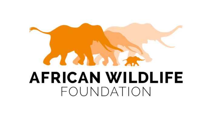 African Wildlife Foundation African Wildlife Foundation