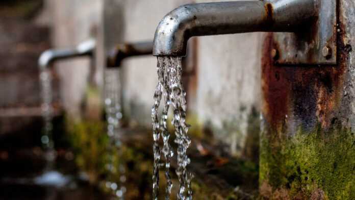 Water dispenser