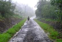 Une saison des pluies dévastatrice en Afrique de l’Est Saison des pluies